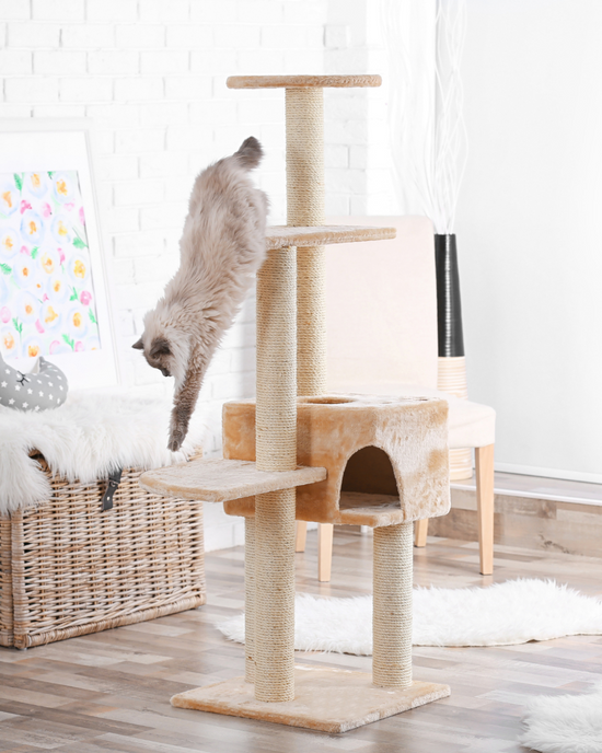 Cat Trees