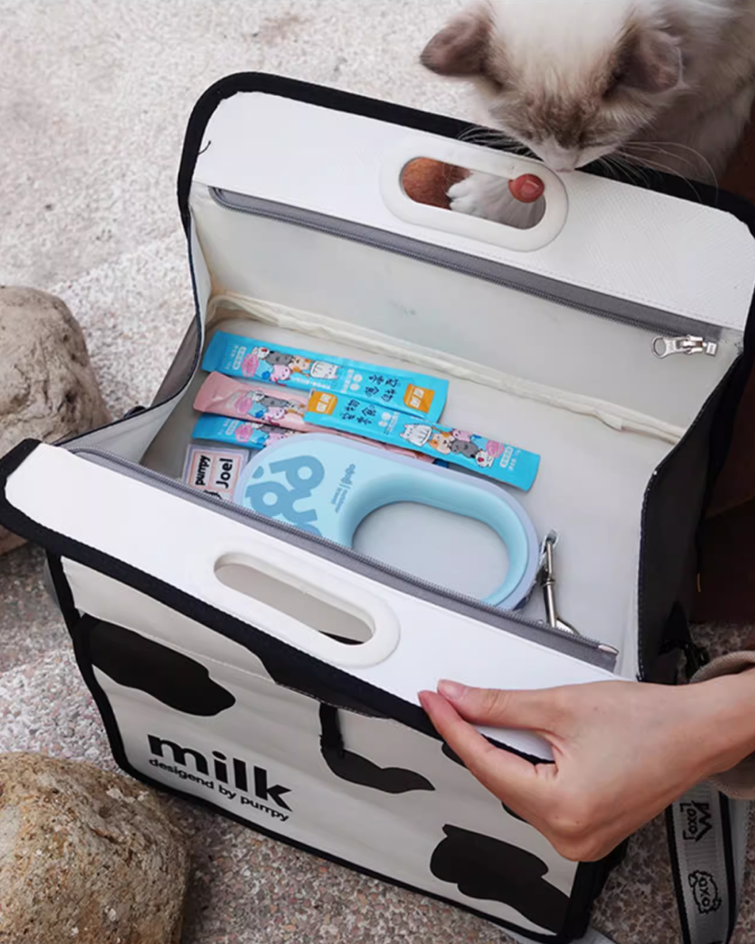 Milk Carton Pet Carrier - Pawscode