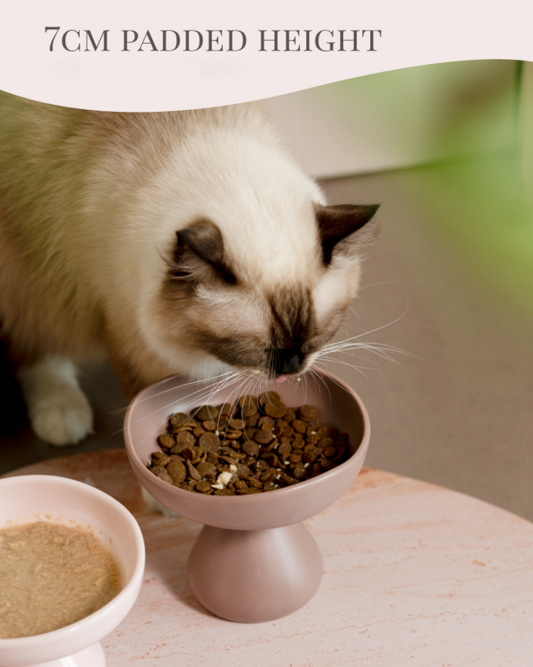 Ceramic Mushroom Bowl - Pawscode