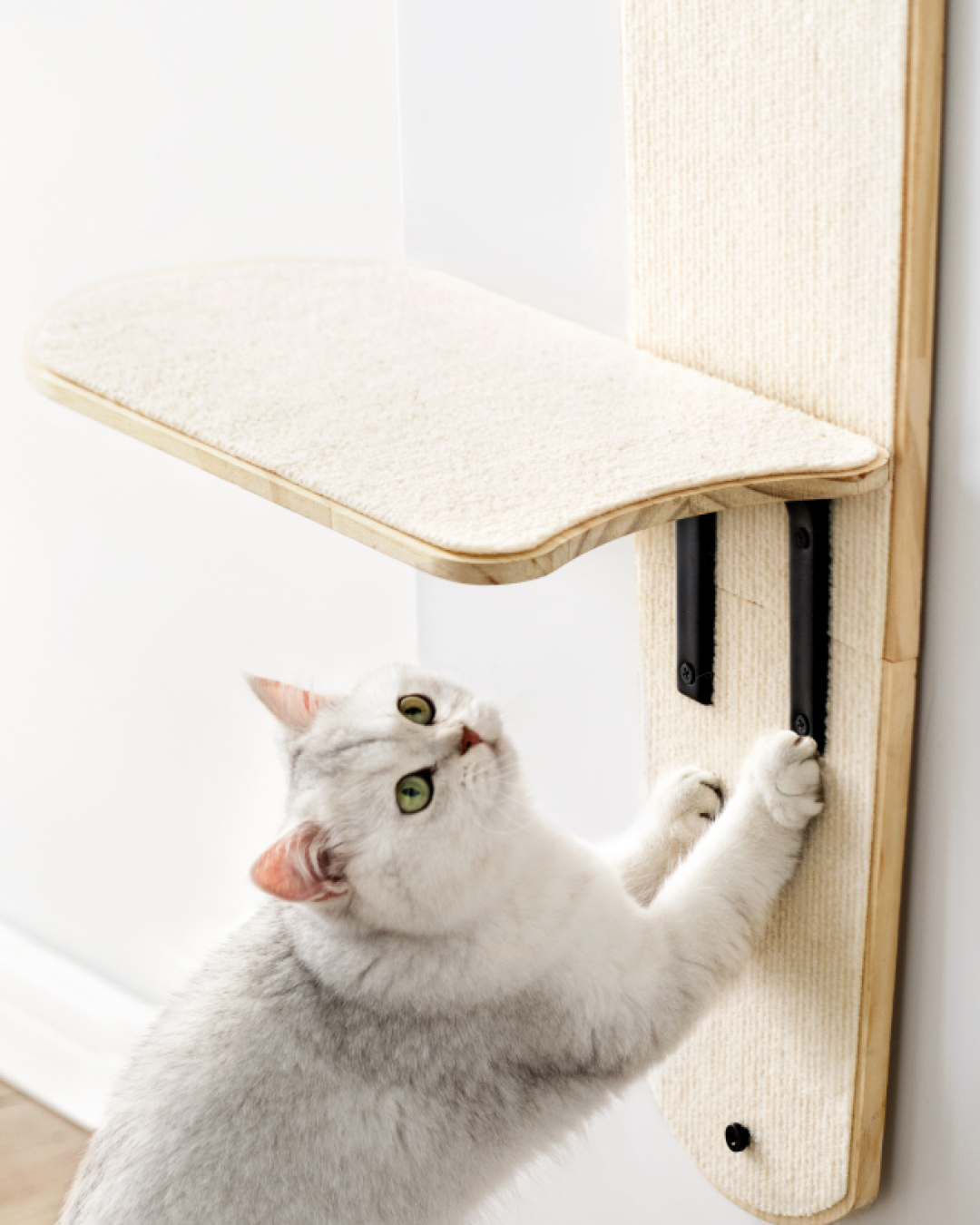 Wall-Mounted Cat Tree Climbing Shelf - Pawscode