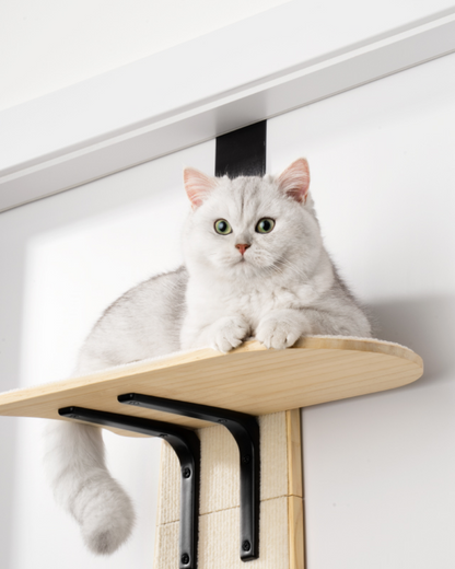 Wall-Mounted Cat Tree Climbing Shelf - Pawscode