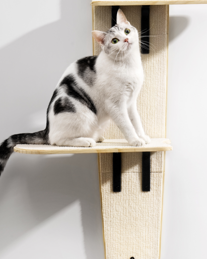 Wall-Mounted Cat Tree Climbing Shelf - Pawscode